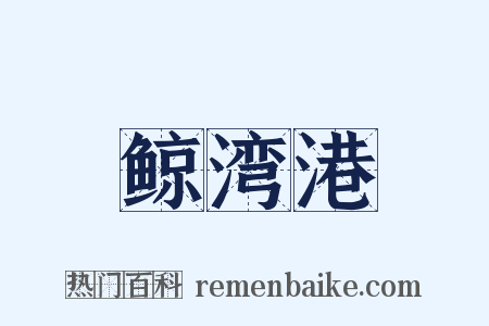 鲸湾港是什么意思的图片